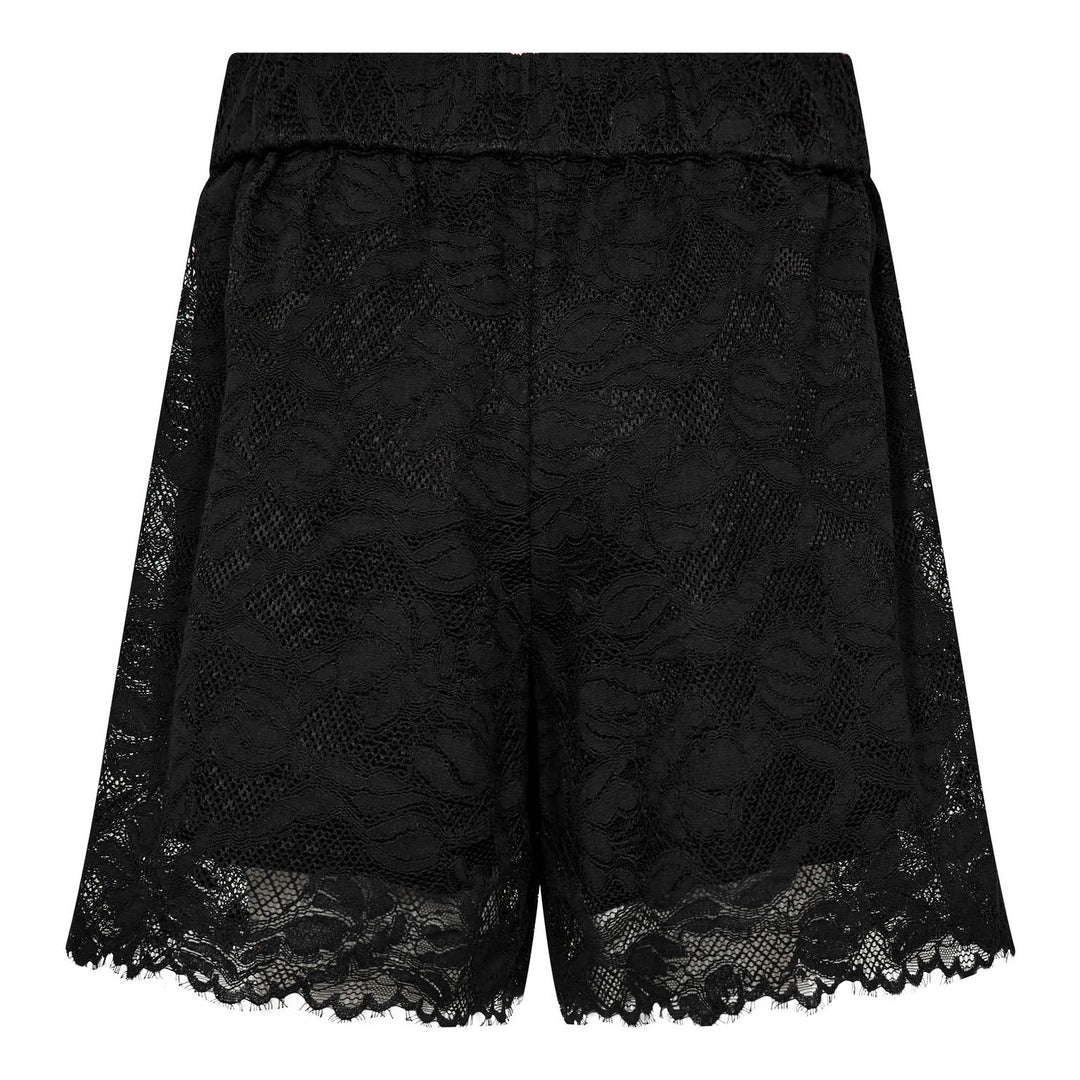 Bermuda Co&